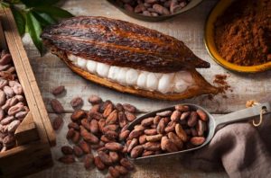 Propiedades beneficios cacao